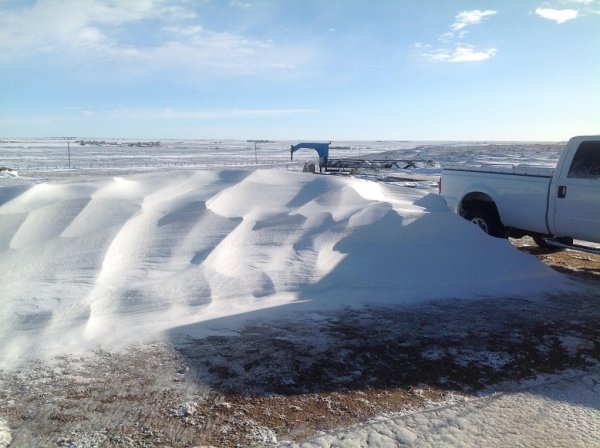 snow drift (2).jpg