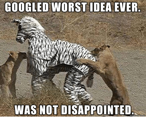 googled-worst-idea-ever-was-not-disappointed-on-imgur-24603293.png
