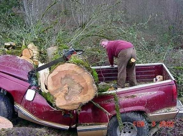 c26b8052781438b2c5396bc670a313fa--funny-accidents-memes-humor.jpg