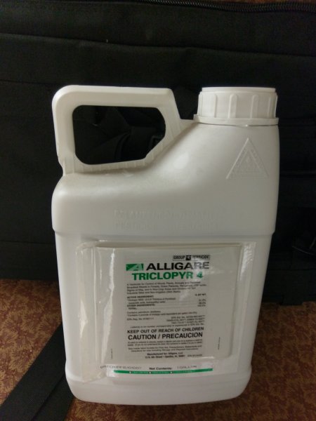 alligare.jpg