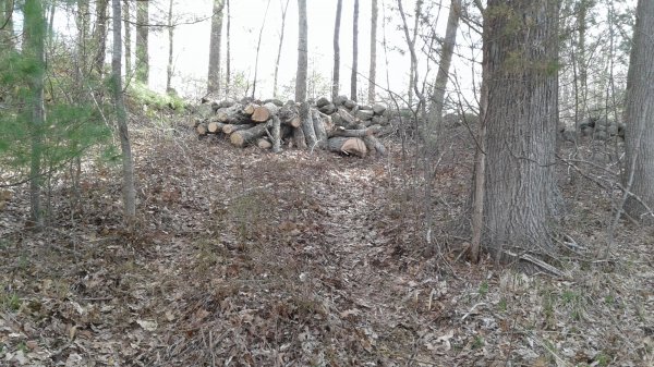 20180427_094440.jpg