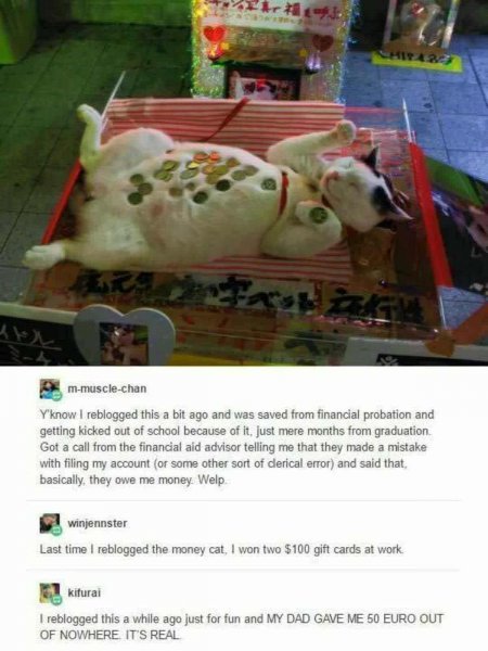 wrlhcY1.jpg