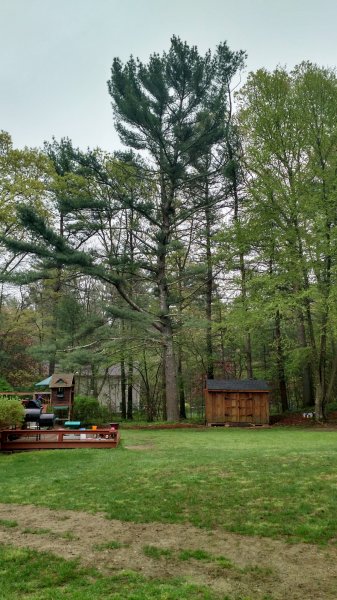 IMG_20180513_073750970_HDR.jpg