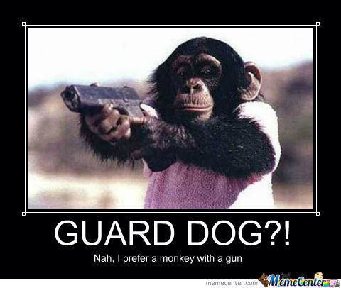 amp-039-cause-guard-dog-is-too-mainstream_o_1249559.jpg