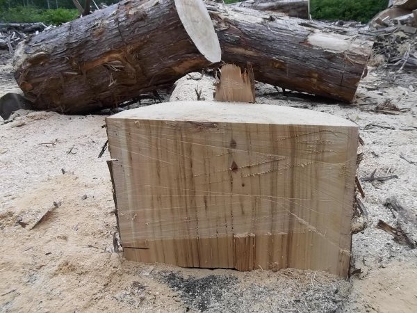 May 27 2018 (12).JPG