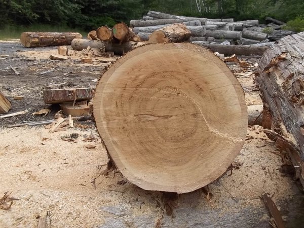 May 27 2018 (13).JPG