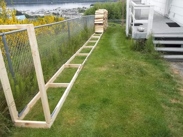 May 24 2018 (13).JPG