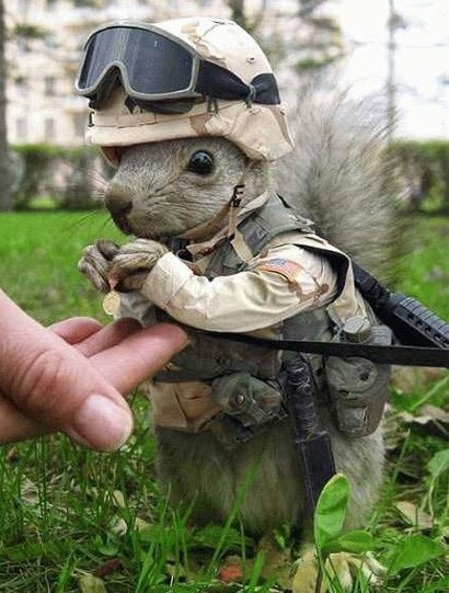 Army new recruit.jpg