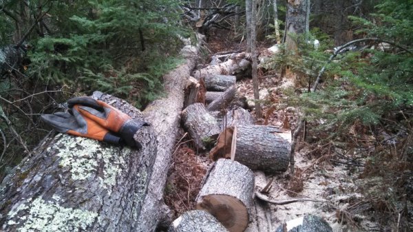 IMG_20140425_142717_738[1].jpg