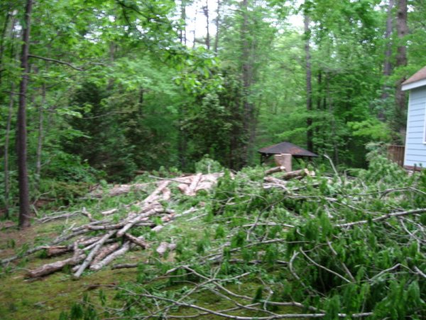 IMG_0331.JPG