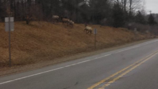 IMG_20140430_112144_986.jpg