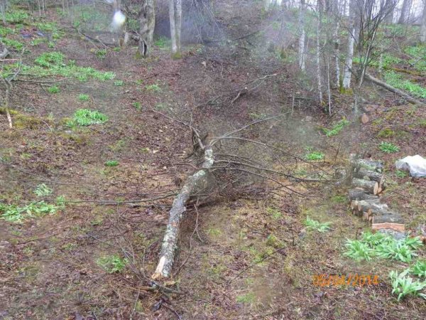 100_9084.JPG