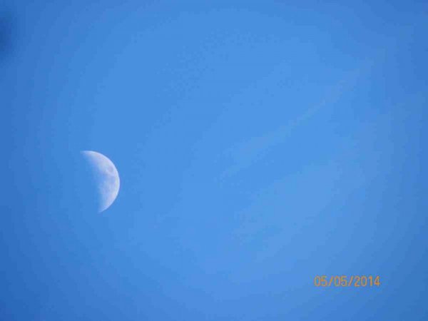 100_9093.JPG
