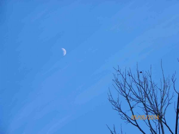 100_9094.JPG