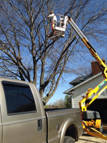 lift trimming.jpg