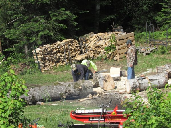 cutting wood.jpg