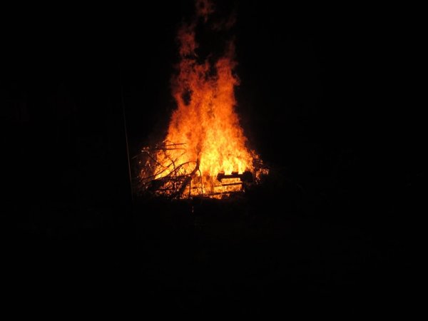 bonfire - 2.jpg