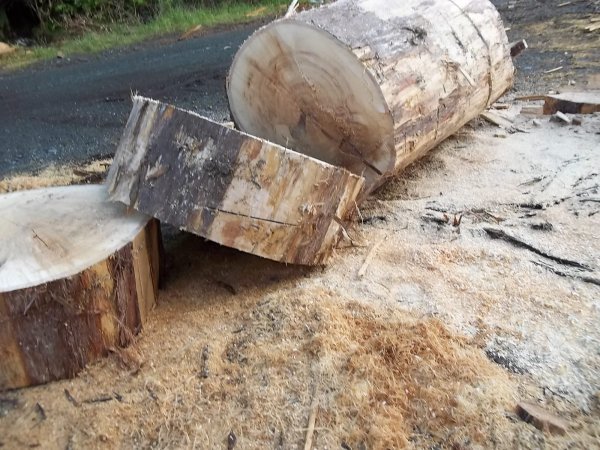 June 10 2018 (2).JPG