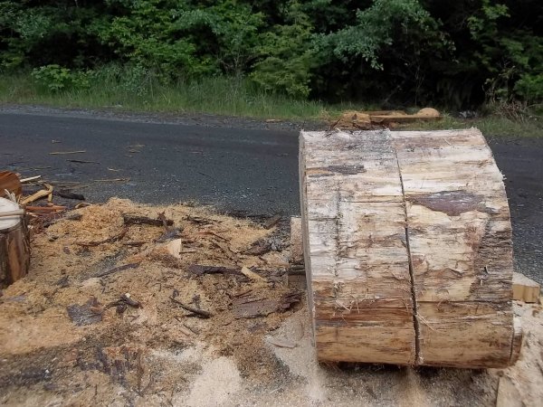 June 10 2018 (3).JPG