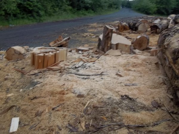 June 10 2018 (7).JPG