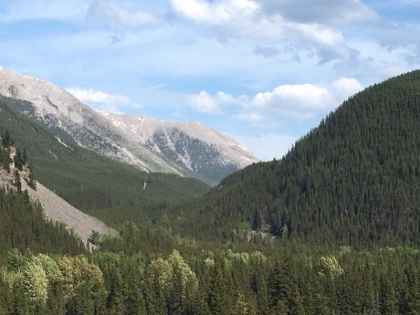 IMG_5081.JPG