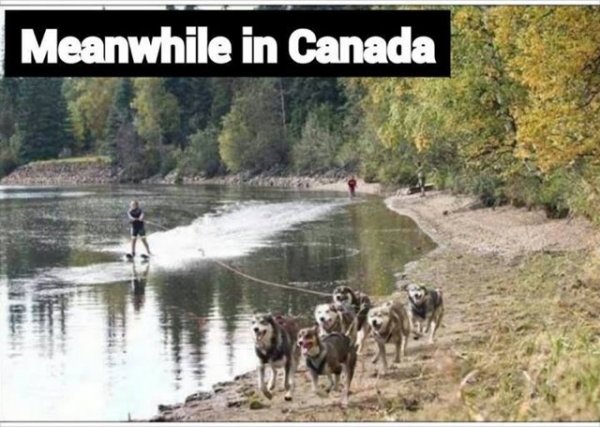 Canadian water ski.jpg