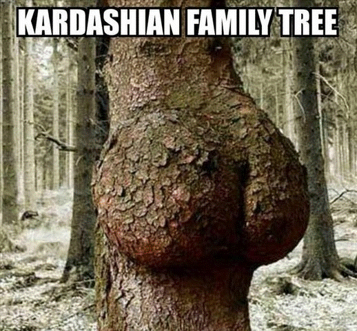 Kardashin Family Tree.gif