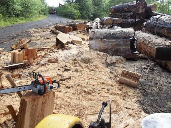 June 13 2018 (2).JPG