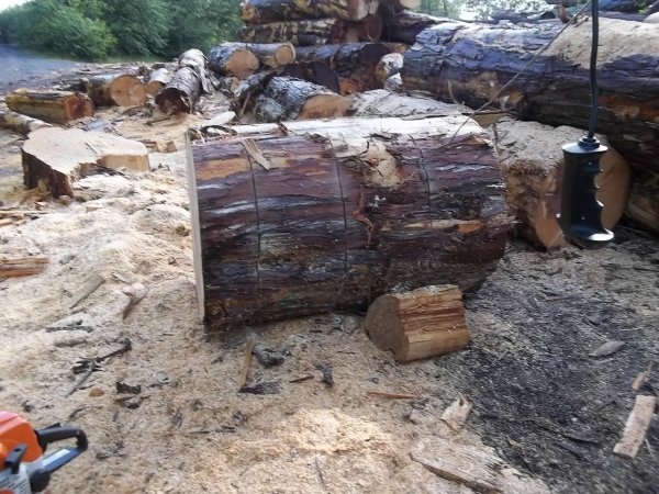 June 13 2018 (3).JPG