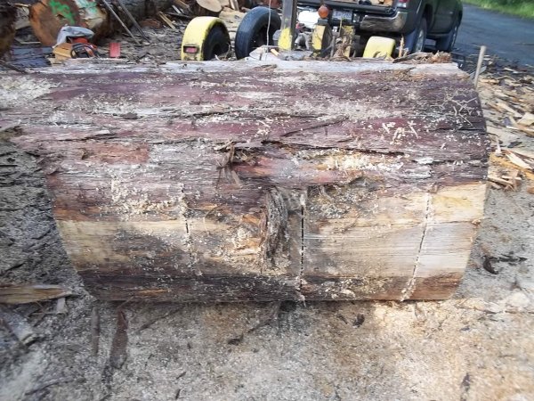 June 13 2018 (4).JPG