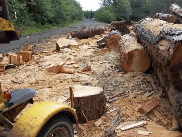 June 13 2018 (5).JPG