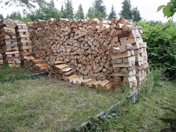 June 14 2018 (2).JPG