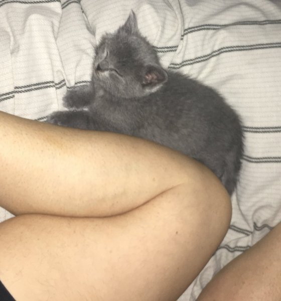 16 June 2018 Socializing w- Mom 2.JPG