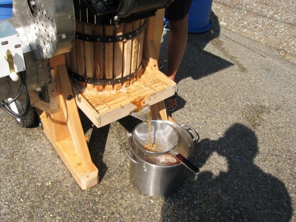 IMG_1034 (800x600).jpg