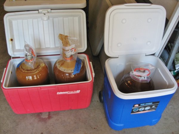 IMG_1035 (800x600).jpg