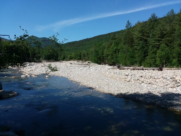 20180617_101014.jpg