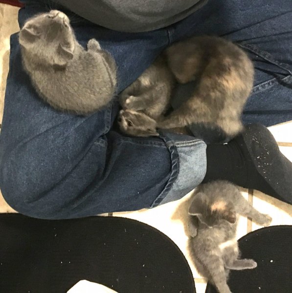 18 June 2018 in dads lap 3.JPG