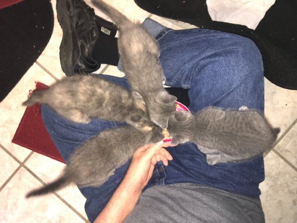 19 June 2018 Chow Time.JPG