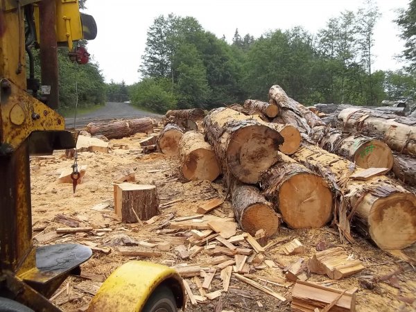 June 14 2018 (3).JPG