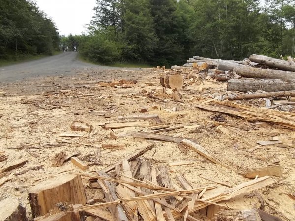 June 22 2018 (2).JPG