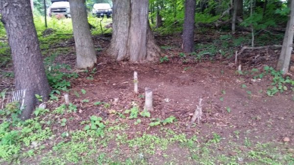 cleaned up rat house close-2.jpg