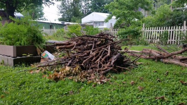 wood pile by raised beds.jpg