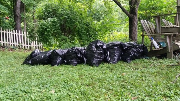 7 bags of leaves and branches.jpg