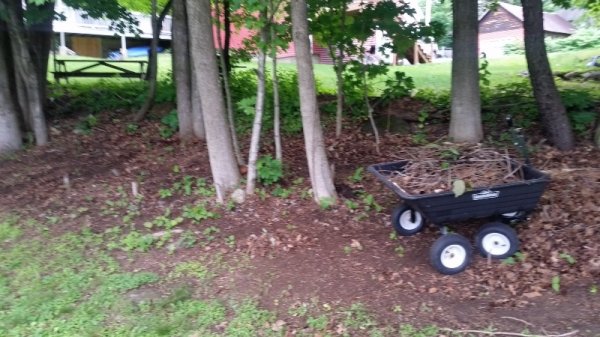cart full of short branches.jpg