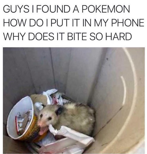 man_file_1111368_pokemon-possum.jpg