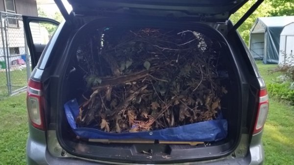truck stuffed with wood.jpg