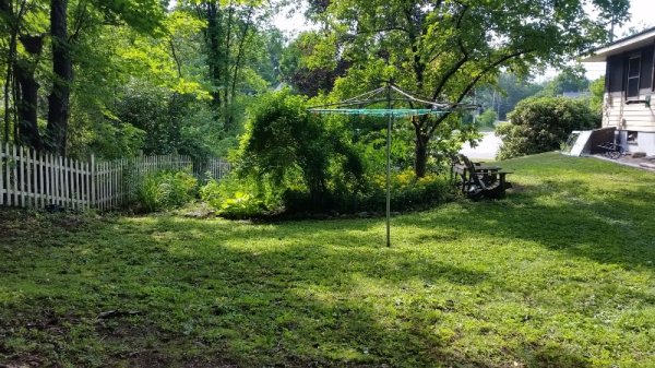 view from sitting area.jpg