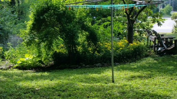 view from sitting area-close.jpg