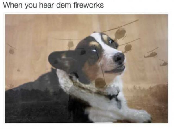 when-you-hear-dem-fireworks-AOzxv.jpg