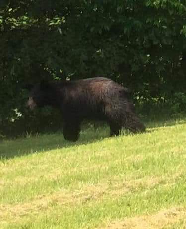 FB_IMG_1527518793851 (1).jpg